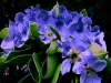 dscn0467-sol-4-06-640x480