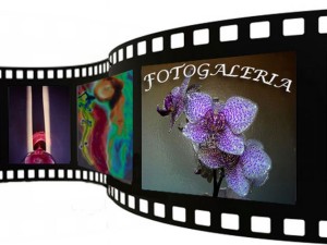 Fotogaleria a 1 [640x480]