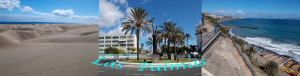 6 Las palmas-2b